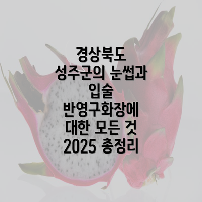 경상북도 성주군의 눈썹과 입술 반영구화장에 대한 모든 것 2025 총정리