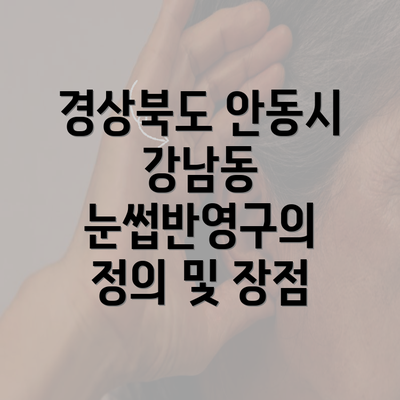 경상북도 안동시 강남동 눈썹반영구의 정의 및 장점