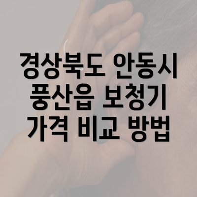 경상북도 안동시 풍산읍 보청기 가격 비교 방법