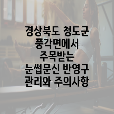 경상북도 청도군 풍각면에서 주목받는 눈썹문신 반영구 관리와 주의사항