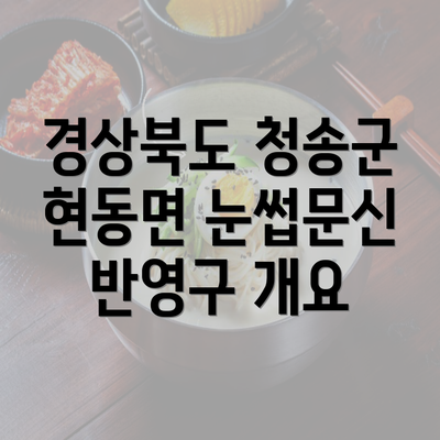 경상북도 청송군 현동면 눈썹문신 반영구 개요