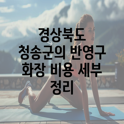 경상북도 청송군의 반영구 화장 비용 세부 정리