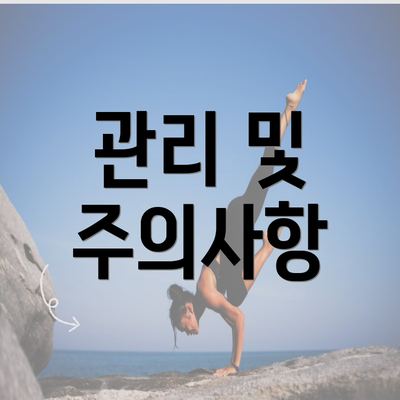 관리 및 주의사항