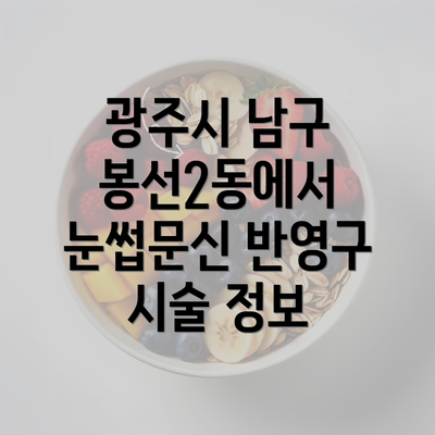 광주시 남구 봉선2동에서 눈썹문신 반영구 시술 정보