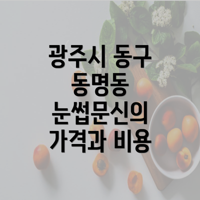 광주시 동구 동명동 눈썹문신의 가격과 비용