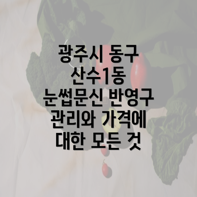 광주시 동구 산수1동 눈썹문신 반영구 관리와 가격에 대한 모든 것