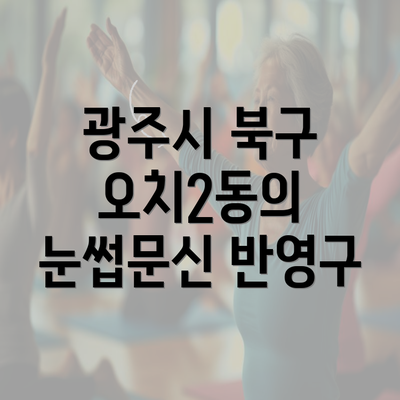 광주시 북구 오치2동의 눈썹문신 반영구