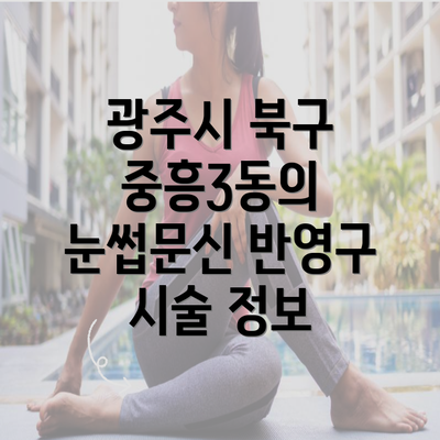 광주시 북구 중흥3동의 눈썹문신 반영구 시술 정보