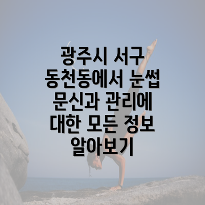 광주시 서구 동천동에서 눈썹 문신과 관리에 대한 모든 정보 알아보기