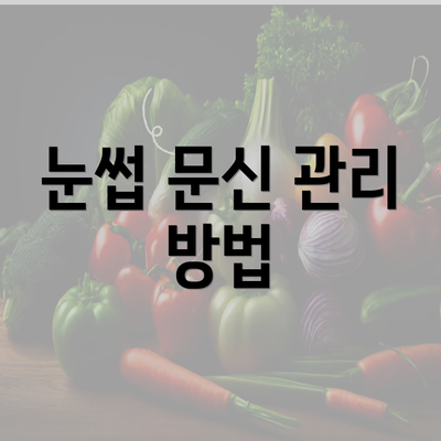 눈썹 문신 관리 방법