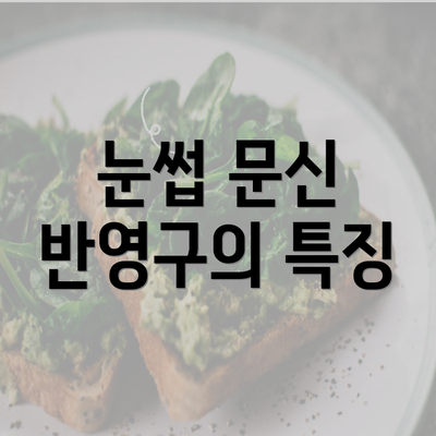 눈썹 문신 반영구의 특징