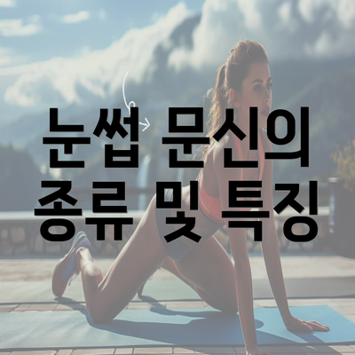 눈썹 문신의 종류 및 특징