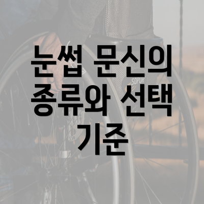 눈썹 문신의 종류와 선택 기준