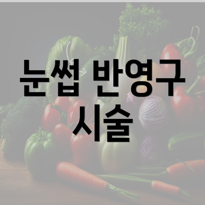 눈썹 반영구 시술