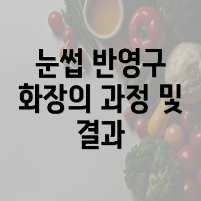 눈썹 반영구 화장의 과정 및 결과