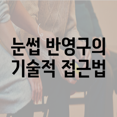 눈썹 반영구의 기술적 접근법