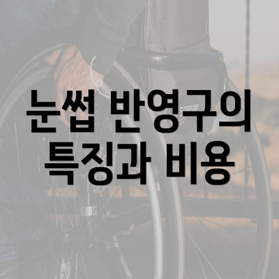 눈썹 반영구의 특징과 비용