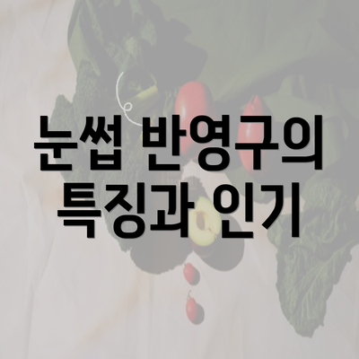 눈썹 반영구의 특징과 인기