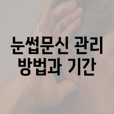 눈썹문신 관리 방법과 기간