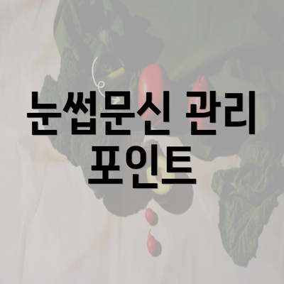 눈썹문신 관리 포인트