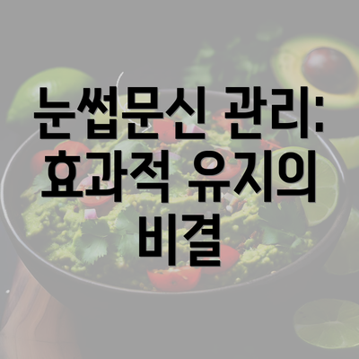 눈썹문신 관리: 효과적 유지의 비결