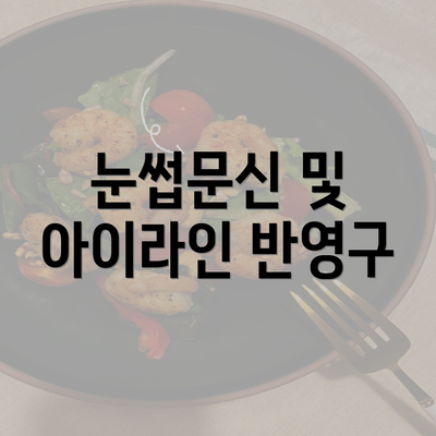 눈썹문신 및 아이라인 반영구