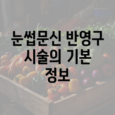 눈썹문신 반영구 시술의 기본 정보