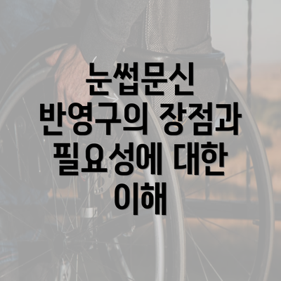 눈썹문신 반영구의 장점과 필요성에 대한 이해