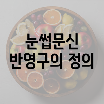 눈썹문신 반영구의 정의