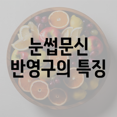 눈썹문신 반영구의 특징