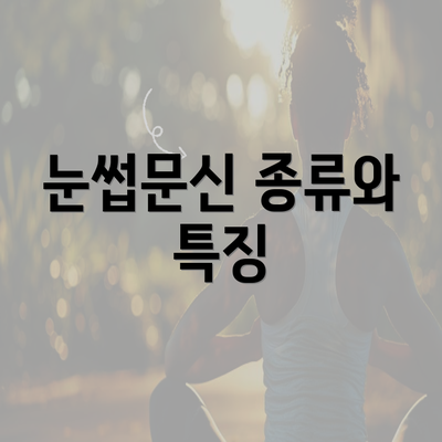 눈썹문신 종류와 특징