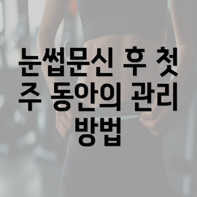 눈썹문신 후 첫 주 동안의 관리 방법