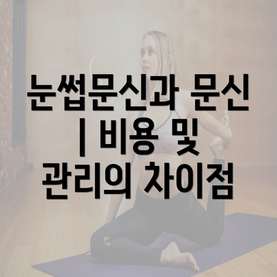 눈썹문신과 문신 | 비용 및 관리의 차이점