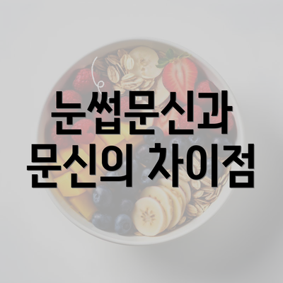 눈썹문신과 문신의 차이점