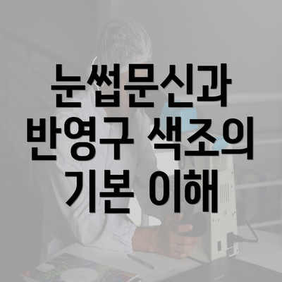 눈썹문신과 반영구 색조의 기본 이해