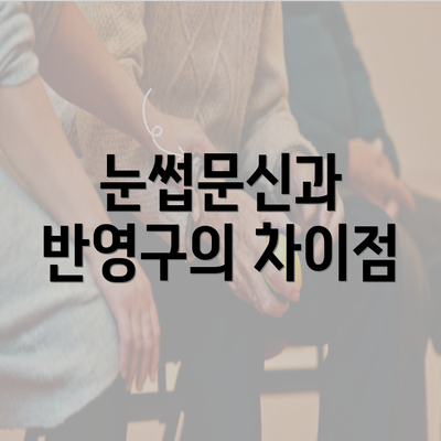 눈썹문신과 반영구의 차이점