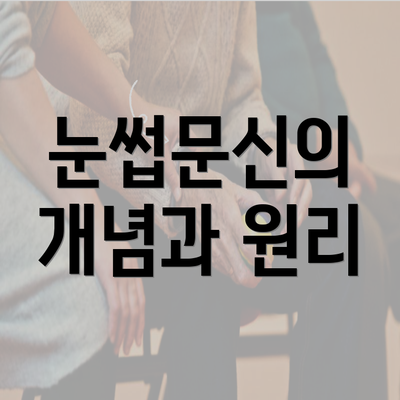 눈썹문신의 개념과 원리