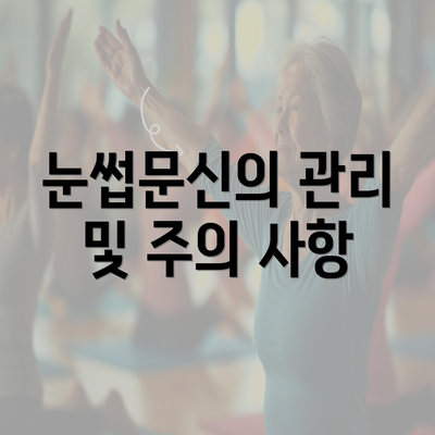 눈썹문신의 관리 및 주의 사항