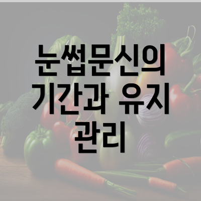 눈썹문신의 기간과 유지 관리