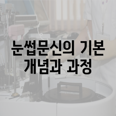 눈썹문신의 기본 개념과 과정