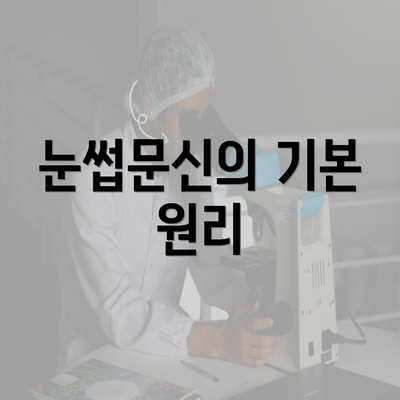 눈썹문신의 기본 원리