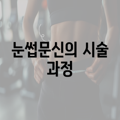 눈썹문신의 시술 과정