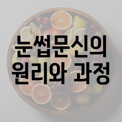 눈썹문신의 원리와 과정