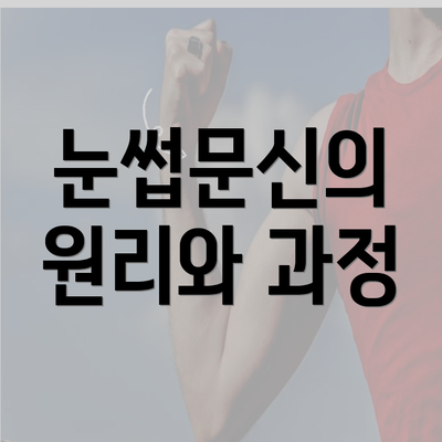 눈썹문신의 원리와 과정