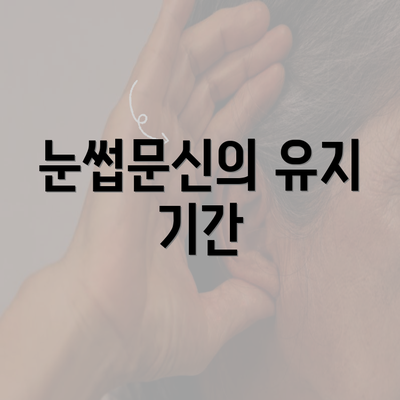 눈썹문신의 유지 기간