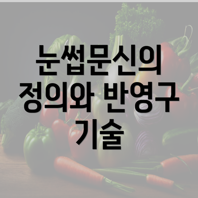 눈썹문신의 정의와 반영구 기술