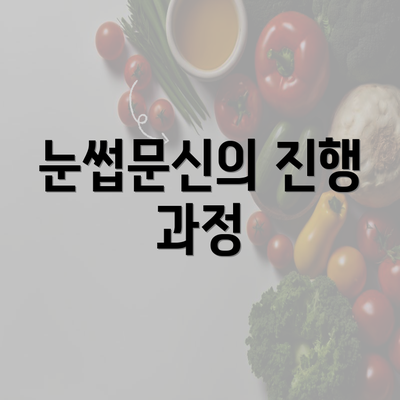 눈썹문신의 진행 과정