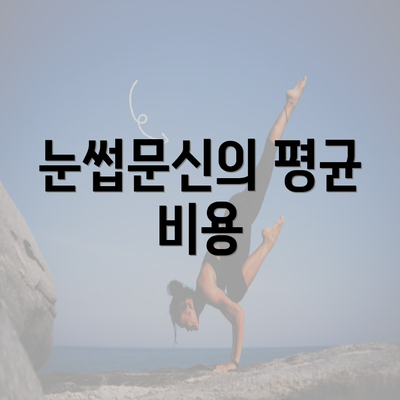 눈썹문신의 평균 비용