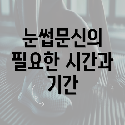 눈썹문신의 필요한 시간과 기간