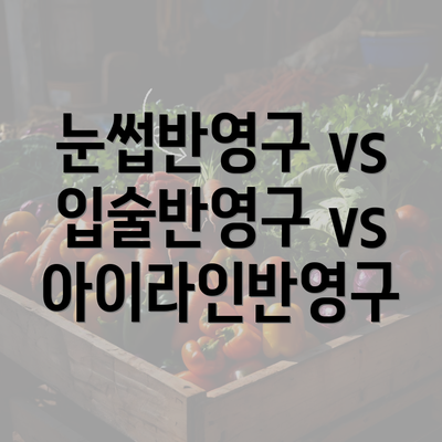 눈썹반영구 vs 입술반영구 vs 아이라인반영구